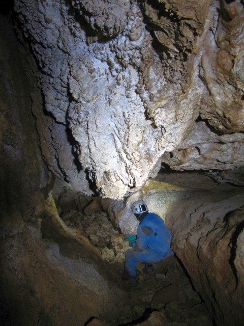 Foto: Knöpfchensinter im Ost-Ast der Kegelstatthöhle (1815/413)